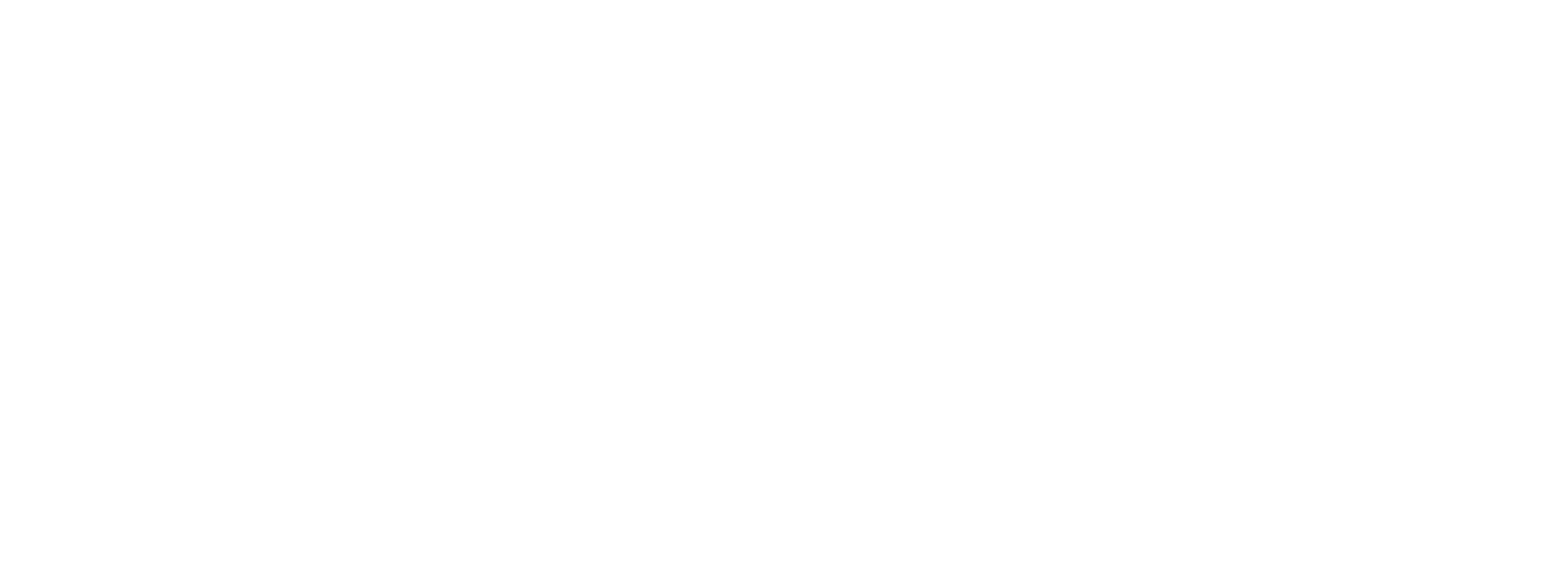 Vit+TSS+logo+png+(genomskinlig+bakgrund)-min